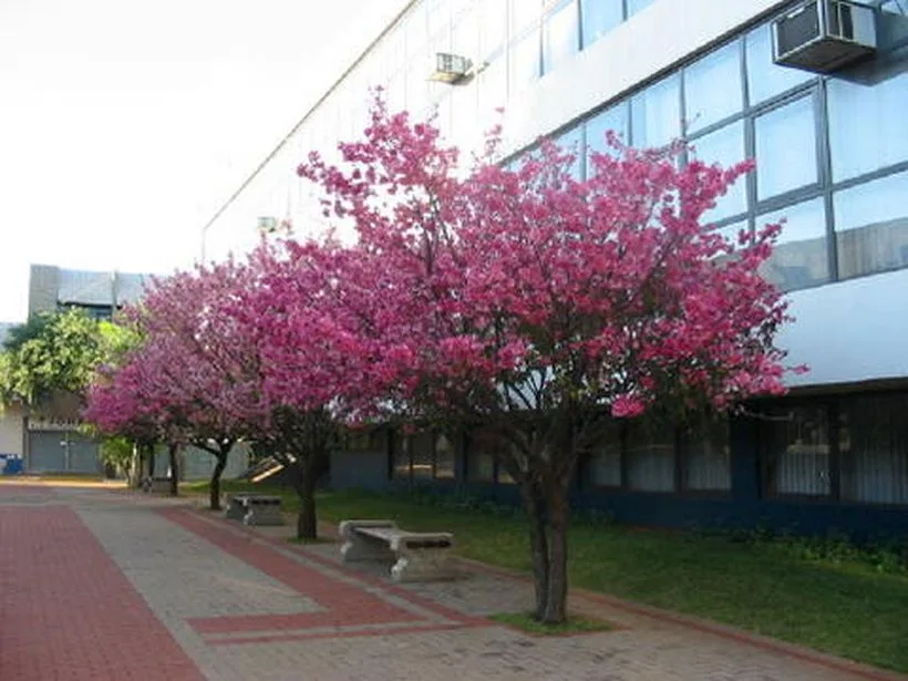Edifício da Prefeitura Municipal de Apucarana