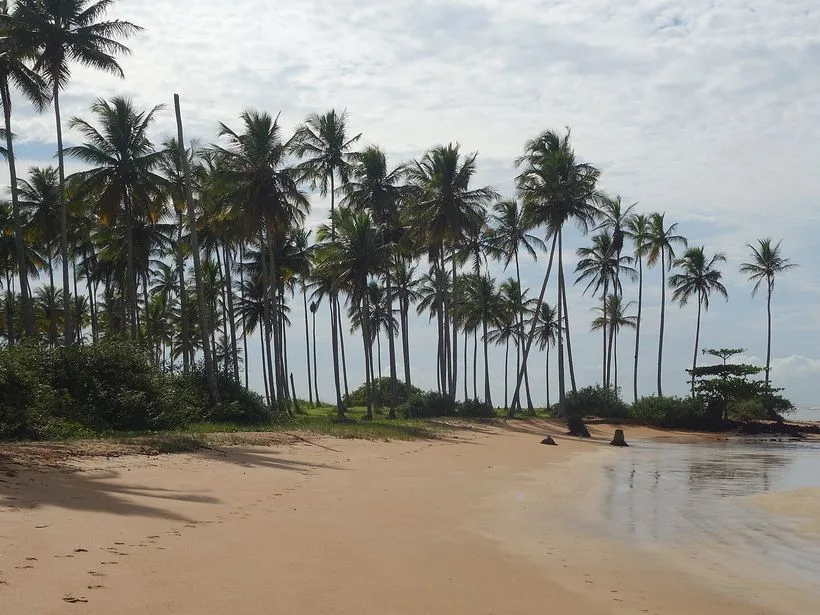 Vista da cidade de Aracruz