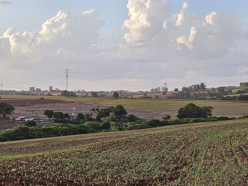 Área rural agrícola em Assis (SP)