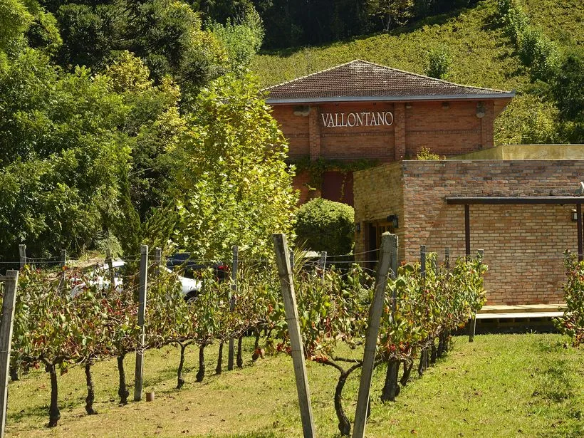 Vinhedos do Vale dos Vinhedos em Bento Gonçalves