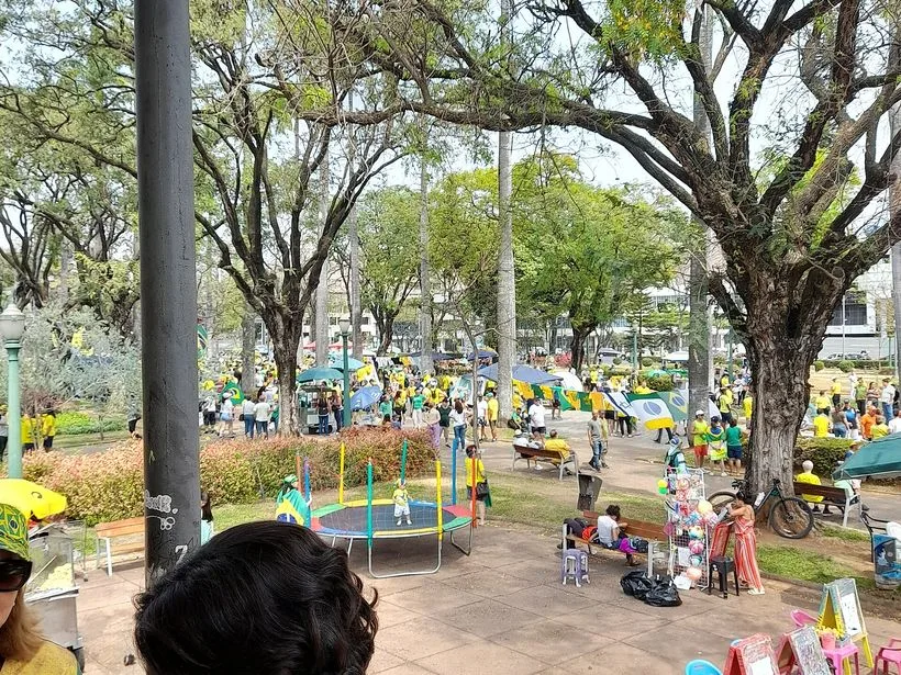 Vista da Praça da Liberdade com palmeiras imperiais e edifícios históricos em Belo Horizonte