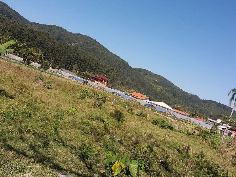 Pomares e casas sob céu azul no interior de Camboriú