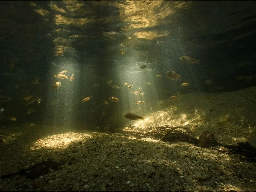Reserva Biológica de Duas Bocas