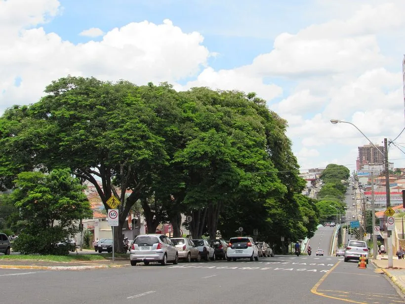 Avenida Major Nicácio em Franca