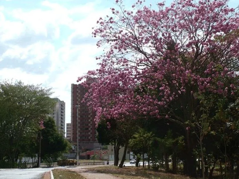 Usina Hidrelétrica de Itumbiara operada por Furnas no rio Paranaíba