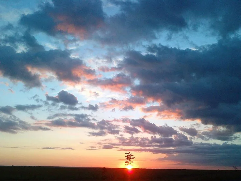 Paisagem de Cerrado ao amanhecer no oeste da Bahia