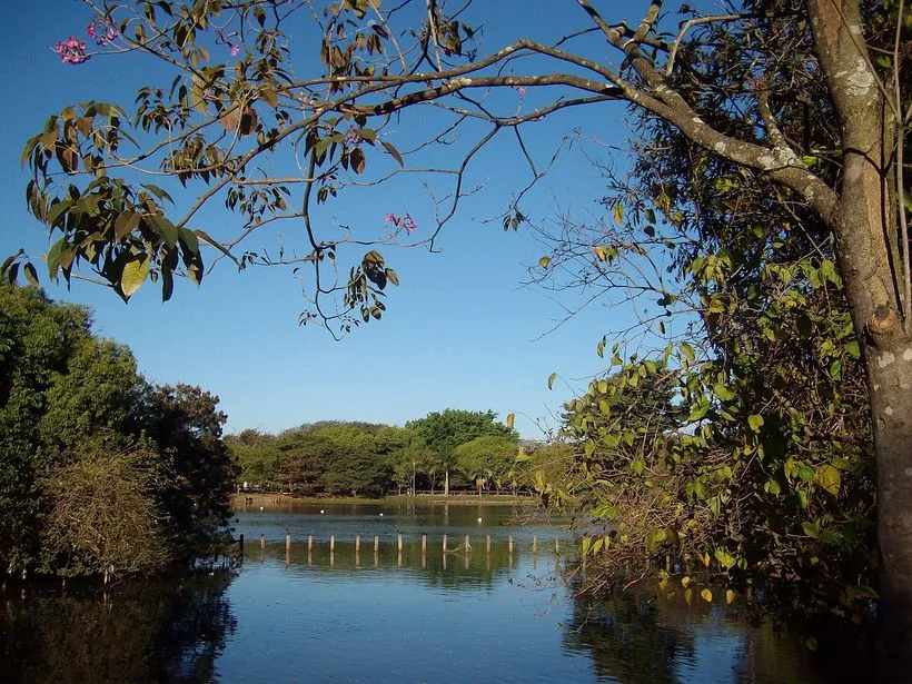 Vista do Parque do Lago Azul em Rio Claro SP