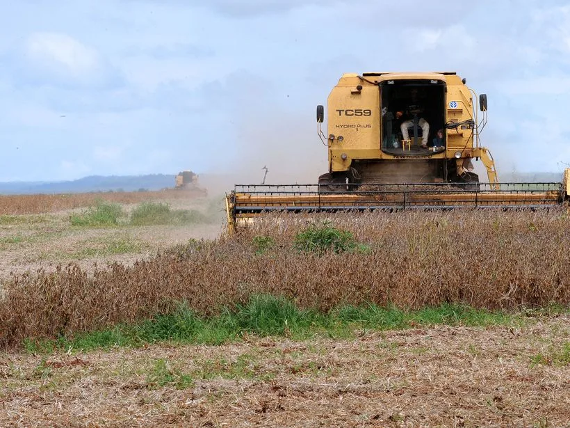 Colheitadeira em lavoura de soja em Rondonópolis