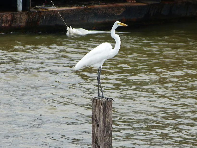 Orla de Santarém no rio Tapajós