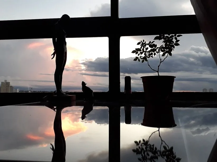 Vista panorâmica da cidade de São Carlos