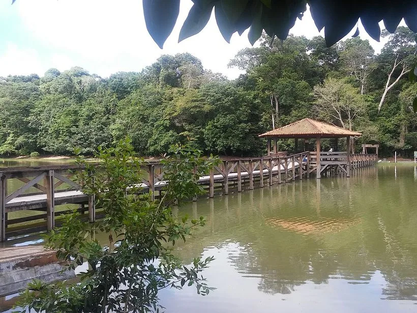 Vegetação e trilha no Parque Ecológico de Sinop