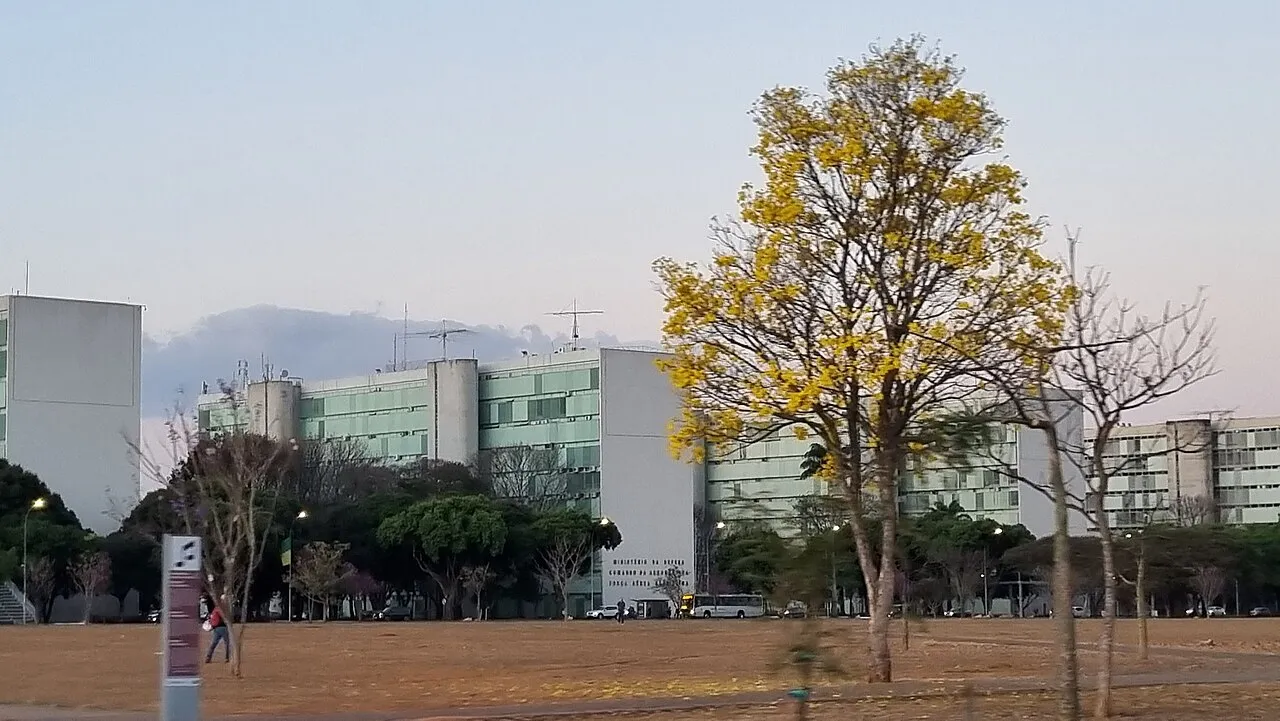 Ipê-amarelo florido num gramado seco, com prédios de ministérios ao fundo em Brasília