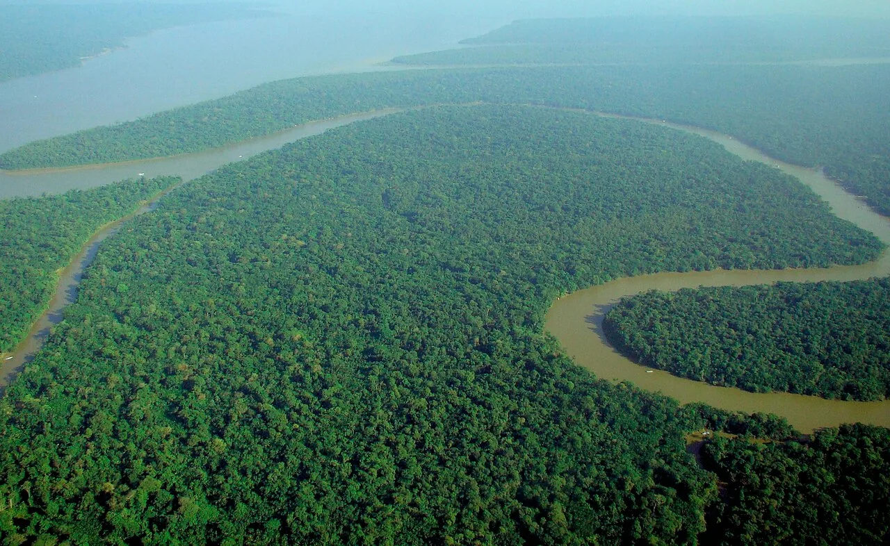 Vista aérea da floresta amazônica brasileira, com copas verdes densas cortadas por um rio sinuoso