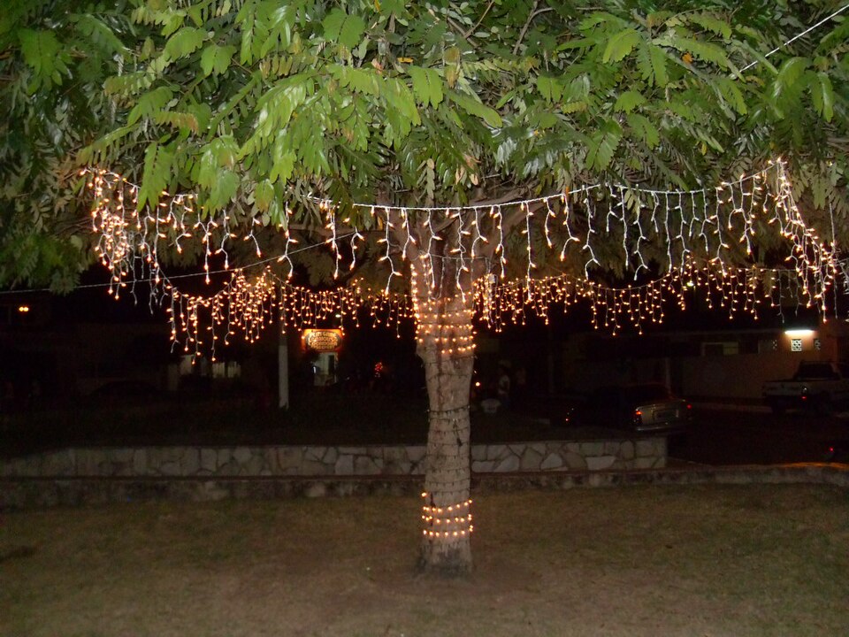 Árvore enfeitada com luzes de Natal numa praça à noite
