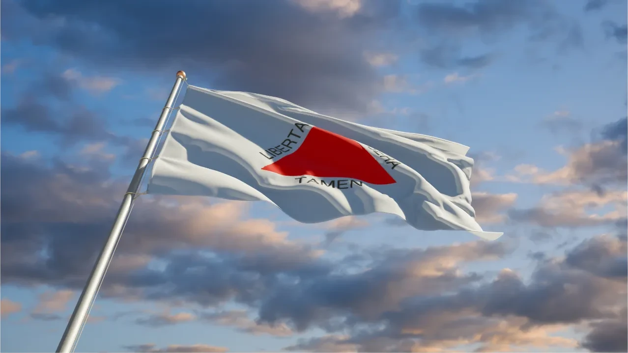 Bandeira do estado de Minas Gerais, Data Magna de Minas Gerais