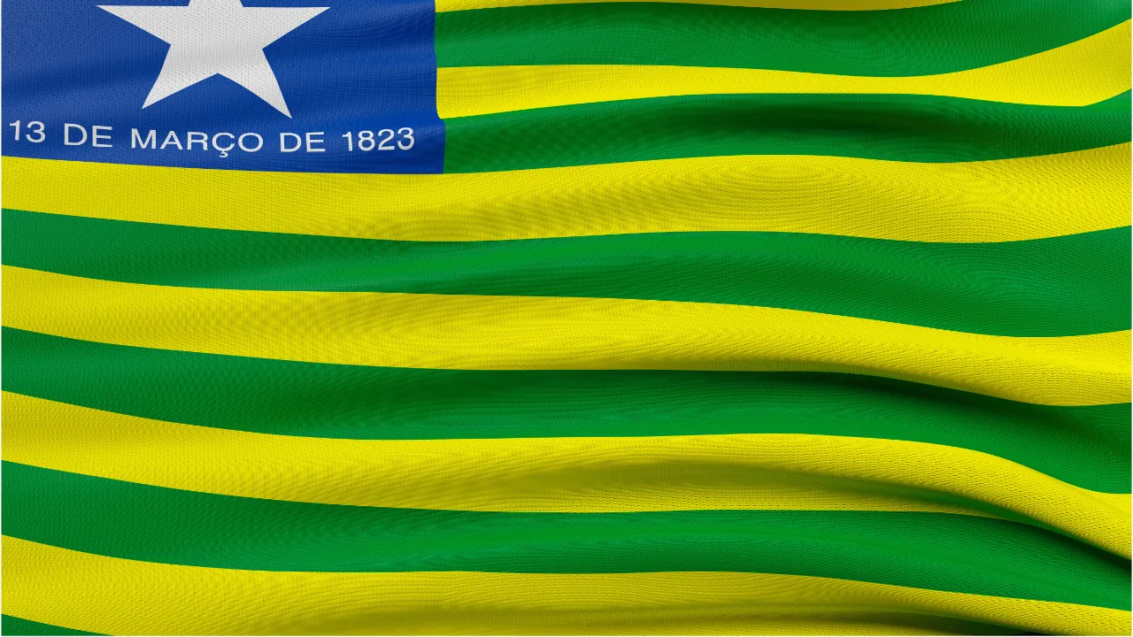 Bandeira do estado do Piauí, Dia do Piauí