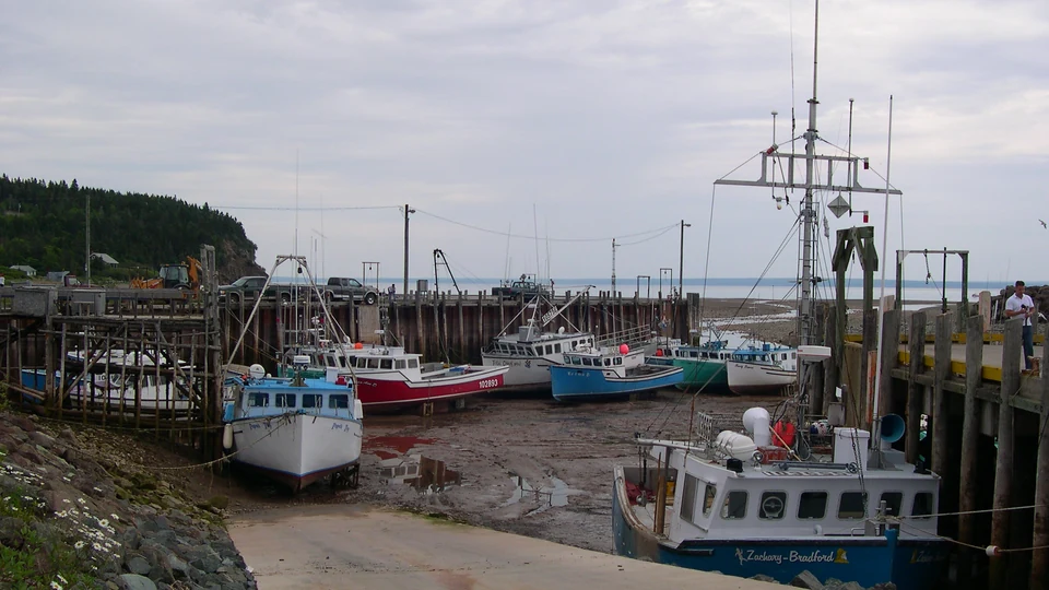 Barcos de pesca apoiados no fundo lamacento de um porto durante a maré baixa, junto ao cais de madeira